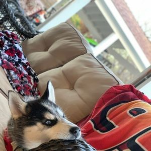 Meet your Posher, Damian